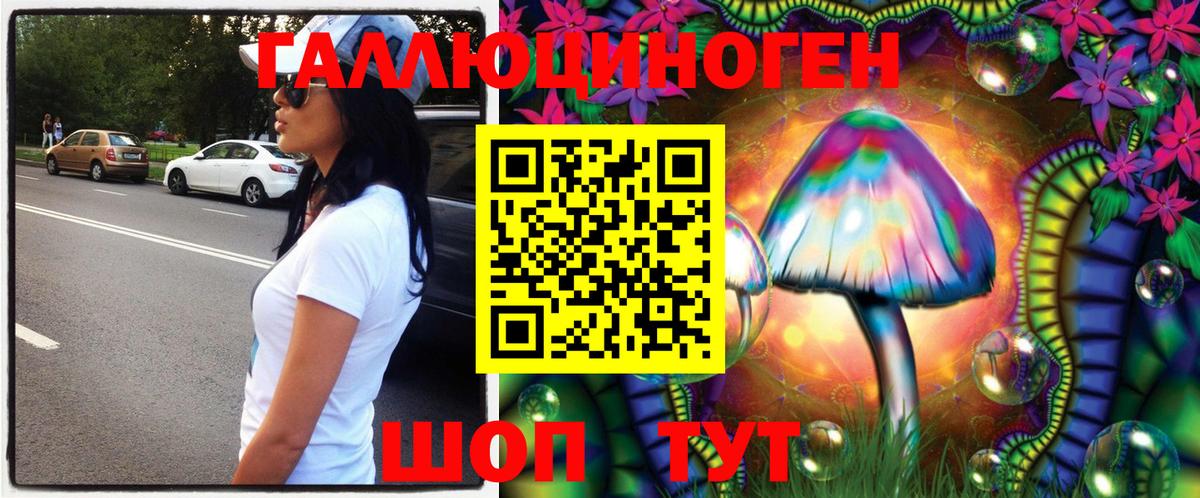 Галлюциногенные грибы Psilocybe  Вход с VPN  Губкин 