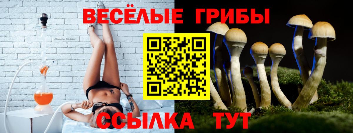 Псилоцибиновые грибы MAGIC MUSHROOMS Губкин